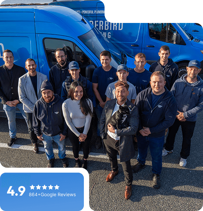 about-content-bg-opt